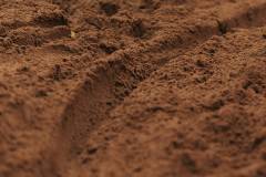 02-november-2025-X20-Badkamers-Trofee_-Rapencross_-Lokeren-1-PM-26M-07S-C-Lars-Crommelinck-