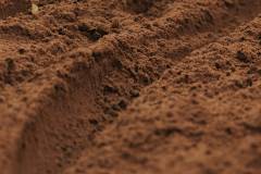 02-november-2025-X20-Badkamers-Trofee_-Rapencross_-Lokeren-1-PM-26M-07S-C-Lars-Crommelinck-2