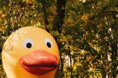 02-november-2025-X20-Badkamers-Trofee_-Rapencross_-Lokeren-1-PM-27M-46S-C-Lars-Crommelinck-