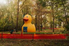 02-november-2025-X20-Badkamers-Trofee_-Rapencross_-Lokeren-1-PM-32M-28S-C-Lars-Crommelinck-