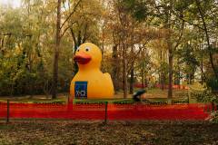 02-november-2025-X20-Badkamers-Trofee_-Rapencross_-Lokeren-1-PM-32M-28S-C-Lars-Crommelinck-2