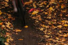 02-november-2025-X20-Badkamers-Trofee_-Rapencross_-Lokeren-1-PM-35M-59S-C-Lars-Crommelinck-