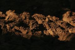 02-november-2025-X20-Badkamers-Trofee_-Rapencross_-Lokeren-12-PM-11M-35S-C-Lars-Crommelinck-