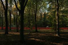 02-november-2025-X20-Badkamers-Trofee_-Rapencross_-Lokeren-12-PM-15M-16S-C-Lars-Crommelinck-