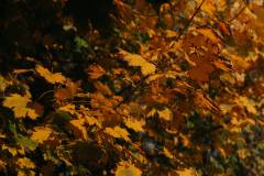 02-november-2025-X20-Badkamers-Trofee_-Rapencross_-Lokeren-12-PM-44M-26S-C-Lars-Crommelinck-