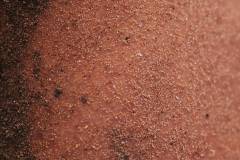 02-november-2025-X20-Badkamers-Trofee_-Rapencross_-Lokeren-12-PM-49M-01S-C-Lars-Crommelinck-