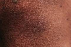 02-november-2025-X20-Badkamers-Trofee_-Rapencross_-Lokeren-12-PM-49M-01S-C-Lars-Crommelinck-2